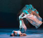 南宁综合文艺表演 网络文化经营与营业性演出许可证合规指南